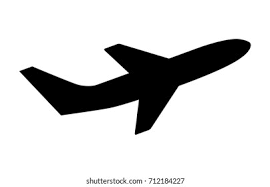 Domestic Flights