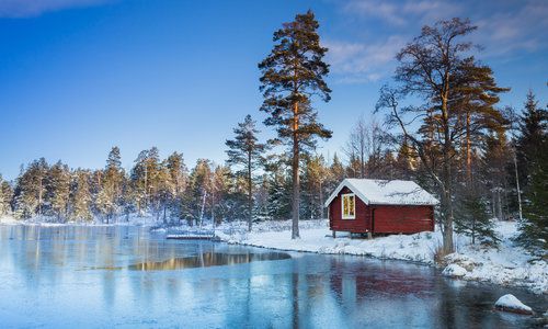 Winter Holidays